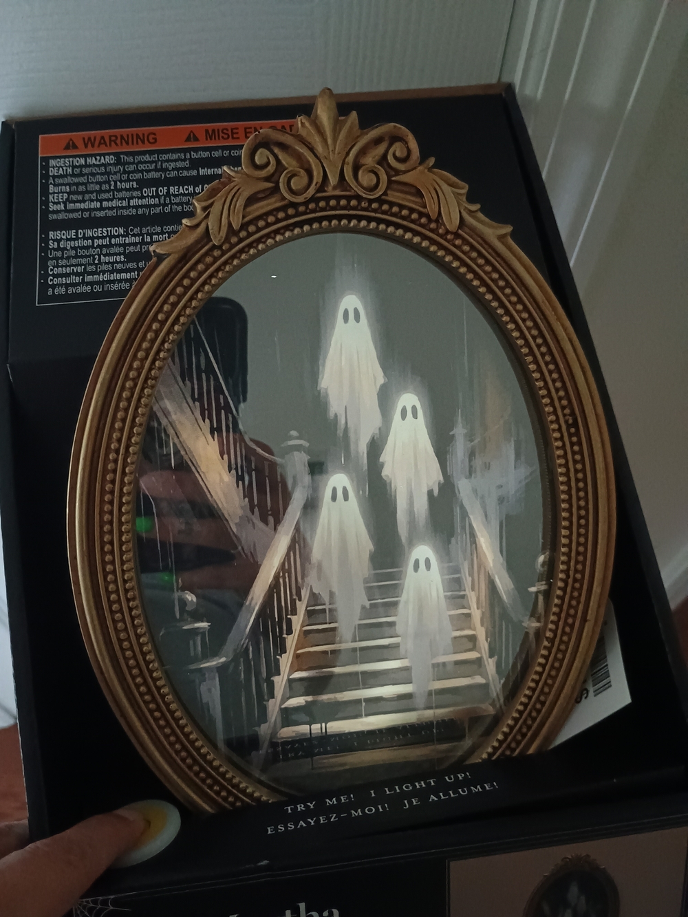 Martha Stewart LED Haunted Mirror Ghost Stairway Ghosts Halloween New